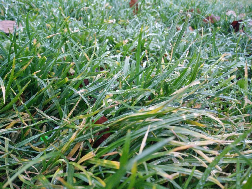 ONEPLUS X zadní fotoaparát 3