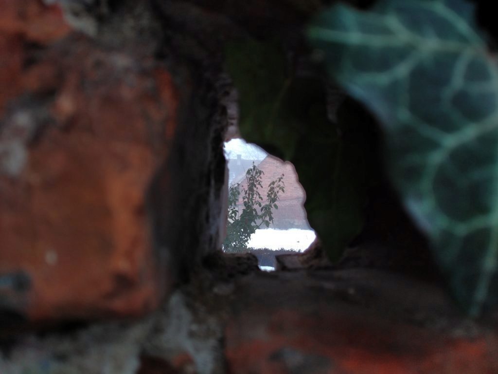 Lenovo Vibe X3 test foto 3