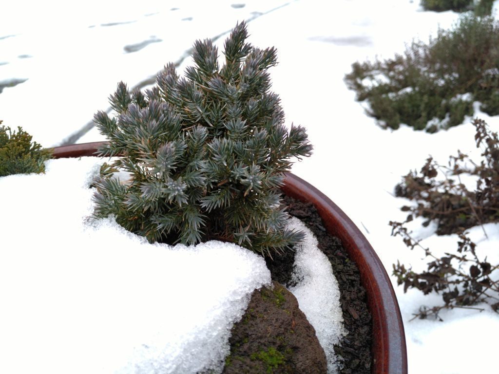 Lenovo Vibe X3 test foto 7