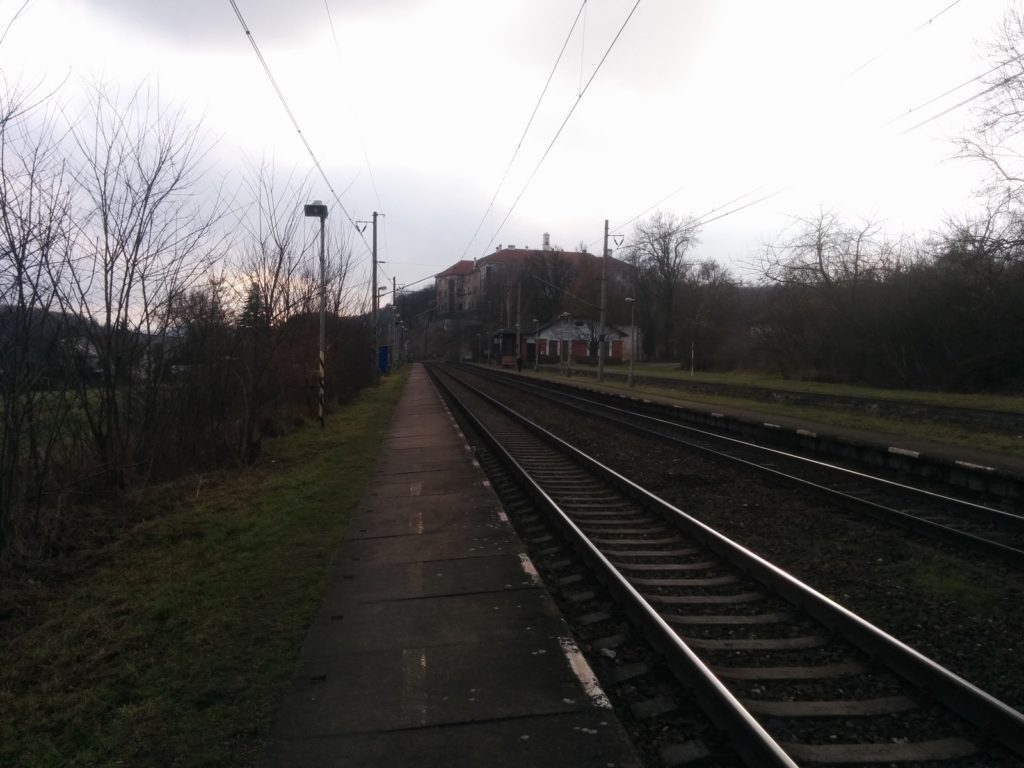 Nexus 5 fotografie 91