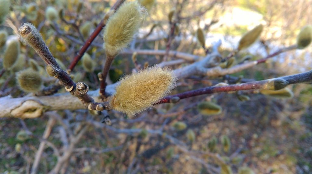 HTC Desire 620 pořízené fotografie 13