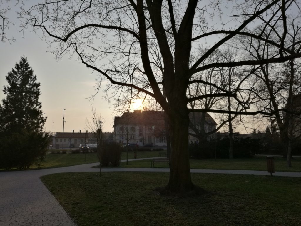 Huawei Mate 8 test foto 13