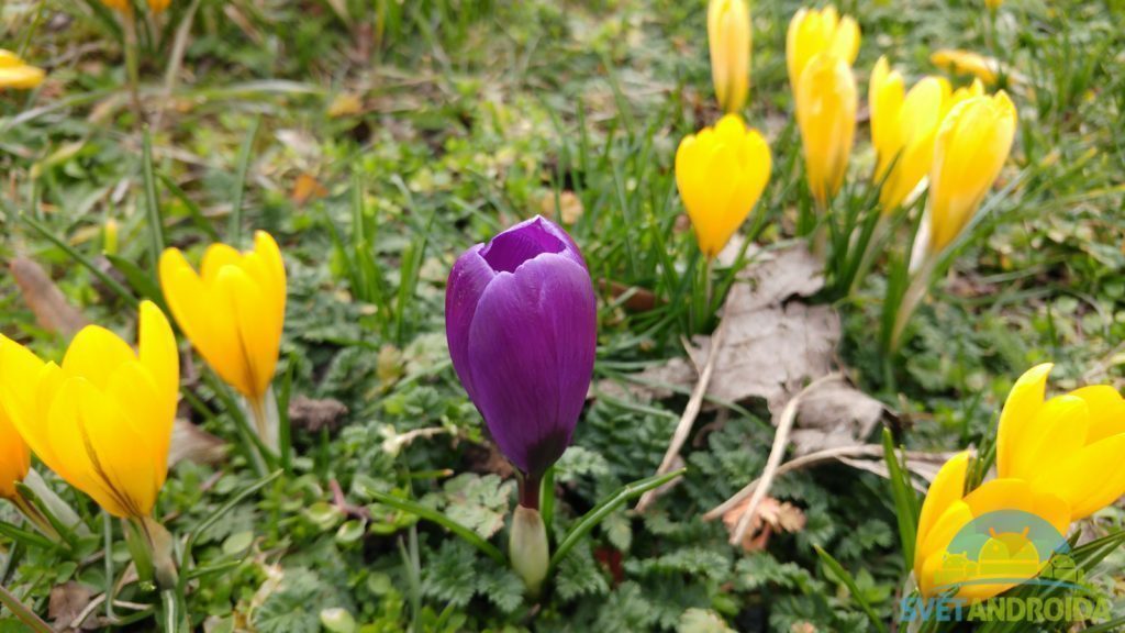 LG G5 fotografie 16