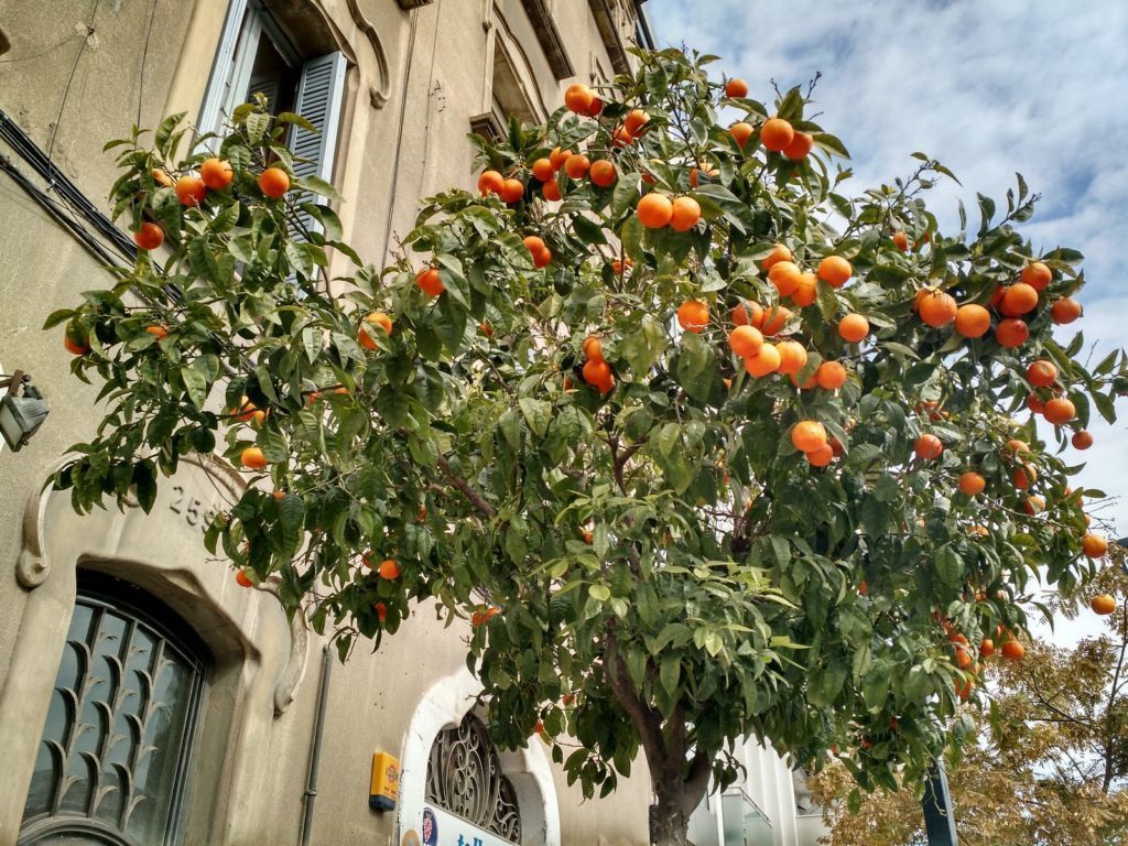 Motorola Moto X 2014 pořízené fotografie 18