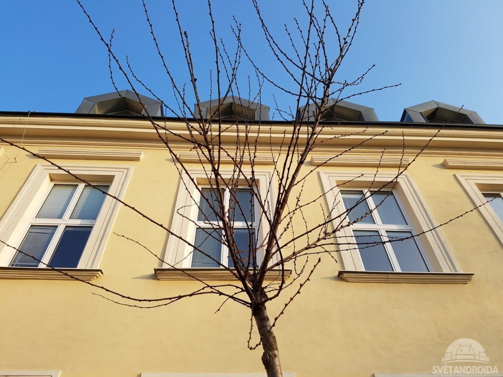 Samsung Galaxy S7 test foto 1 1