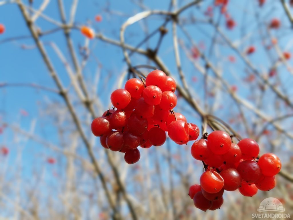 Samsung Galaxy S7 test foto 23