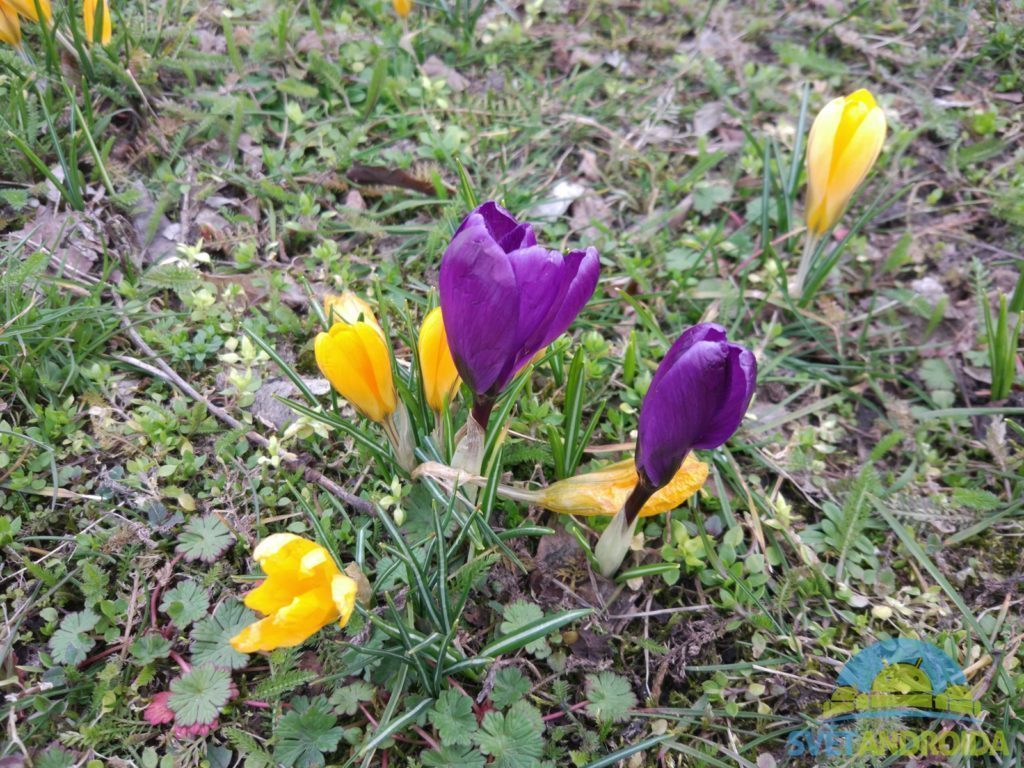 Xiaomi Mi5 pořízené fotografie 5 zmenšené