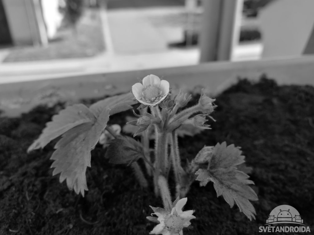 Huawei P9 Mono 1