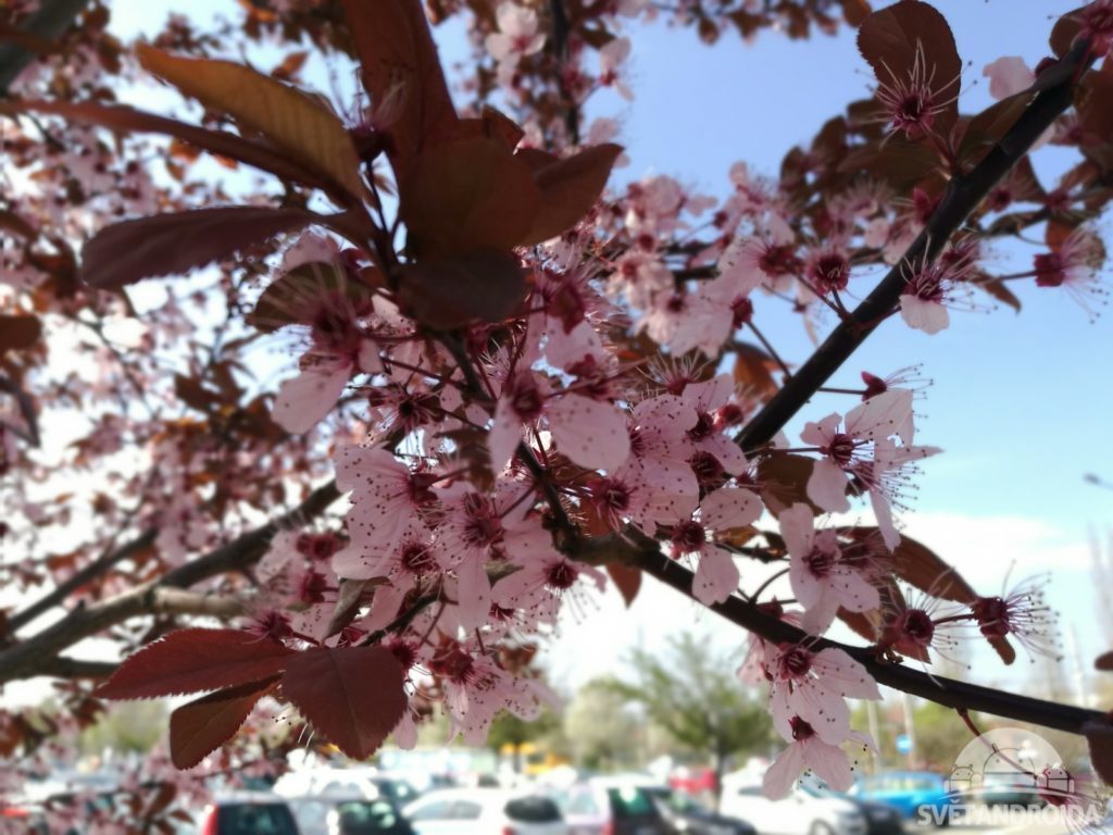 Huawei P9 foto 28