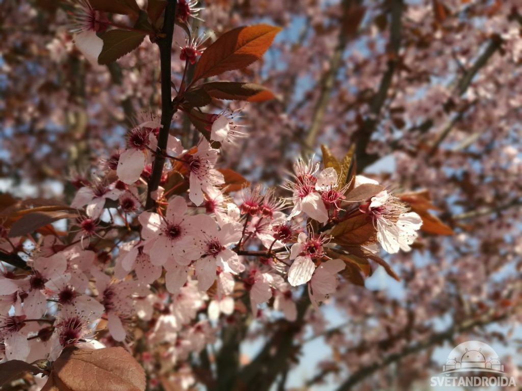 Huawei P9 foto 29