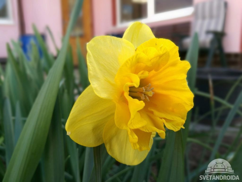 Huawei P9 foto 33