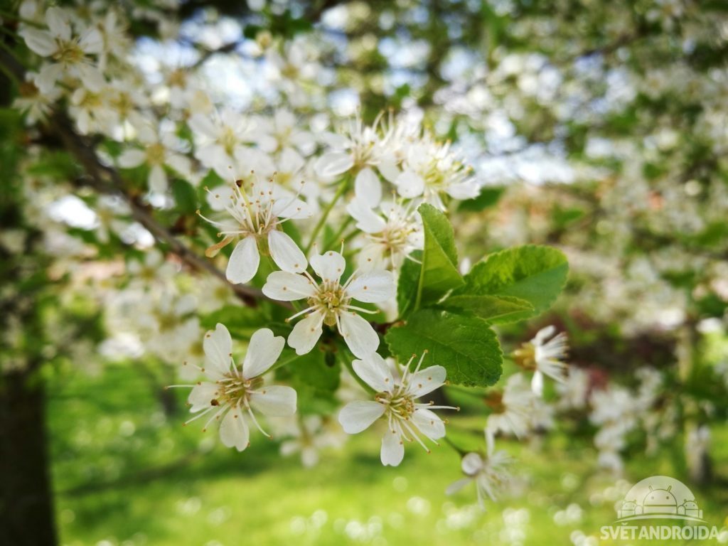 Huawei P9 foto 34