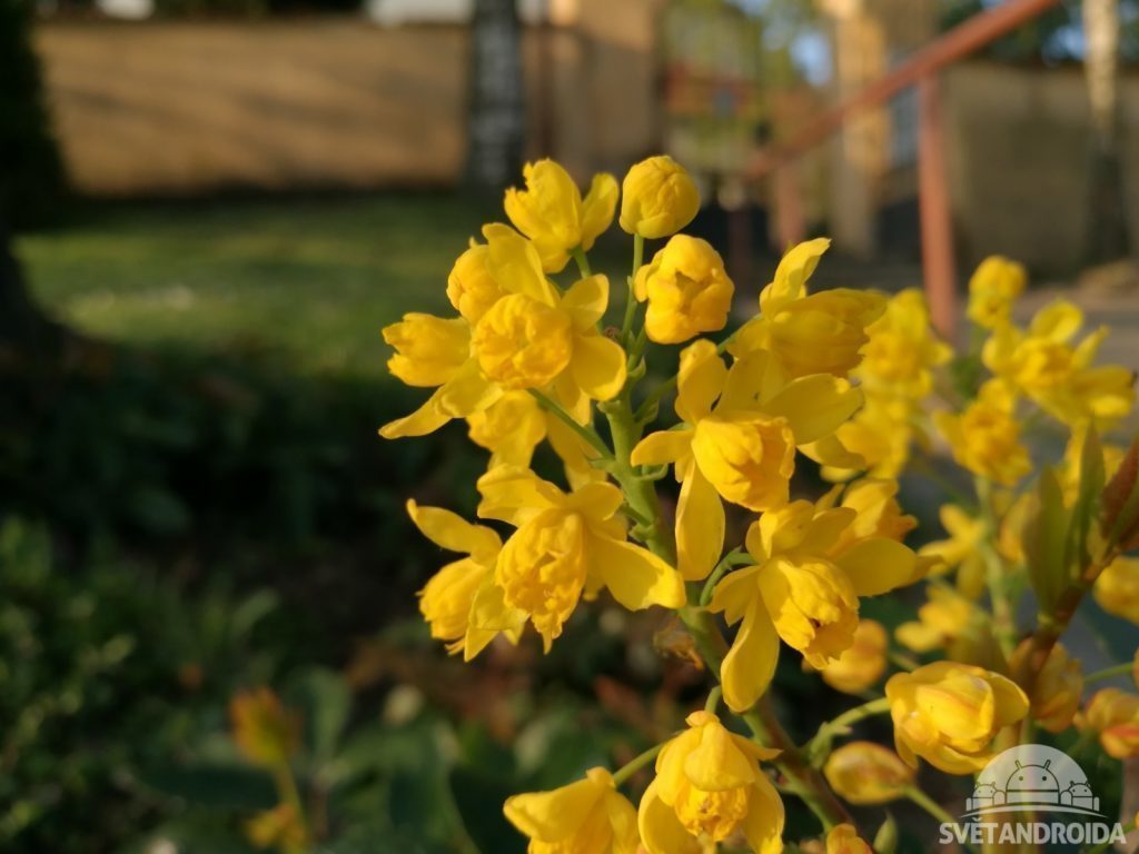 P9 foto 13