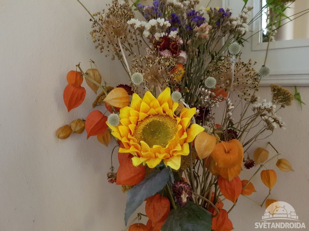 SGS7 foto 10