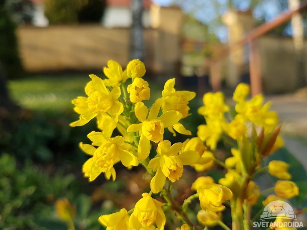 SGS7 foto 13