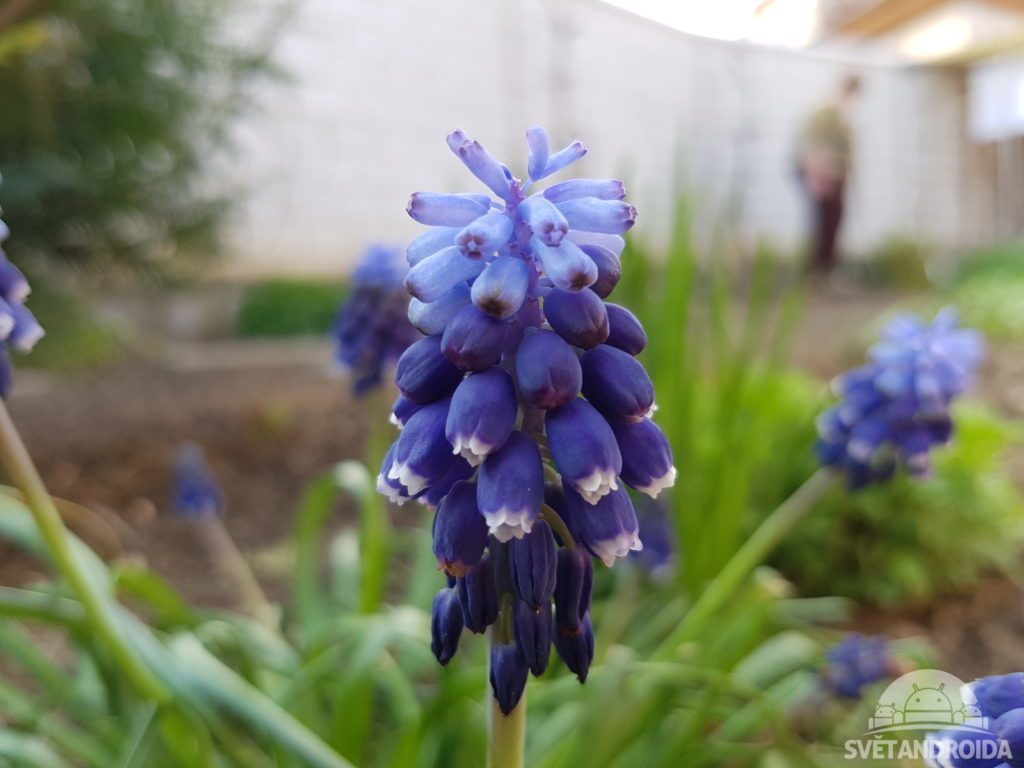SGS7 foto 8