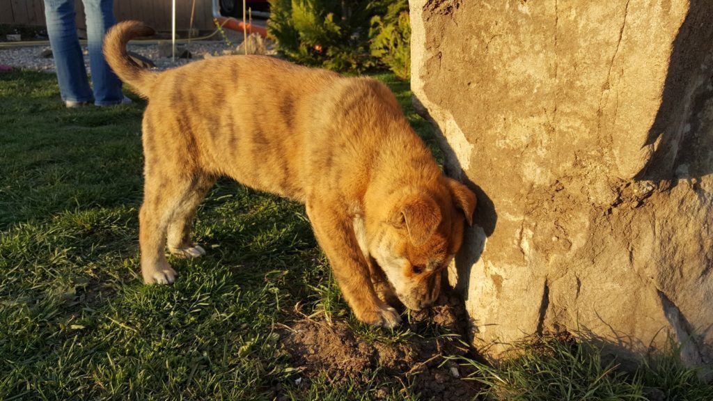Samsung Galaxy S6 Edge pořízené fotografie 6