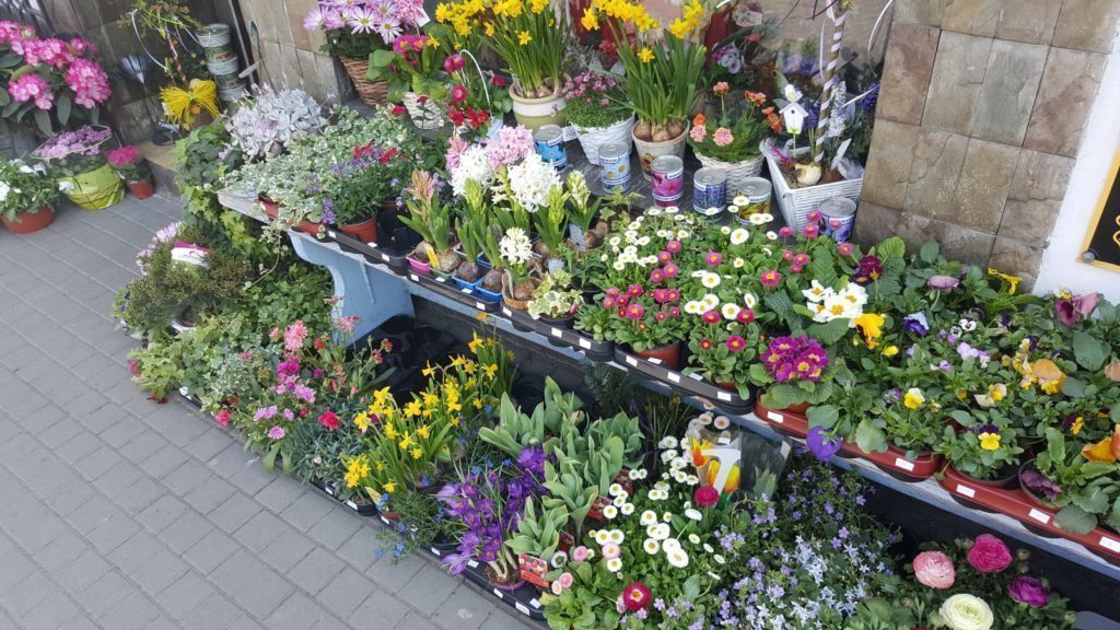 Samsung Galaxy S6 Edge pořízené fotografie 7
