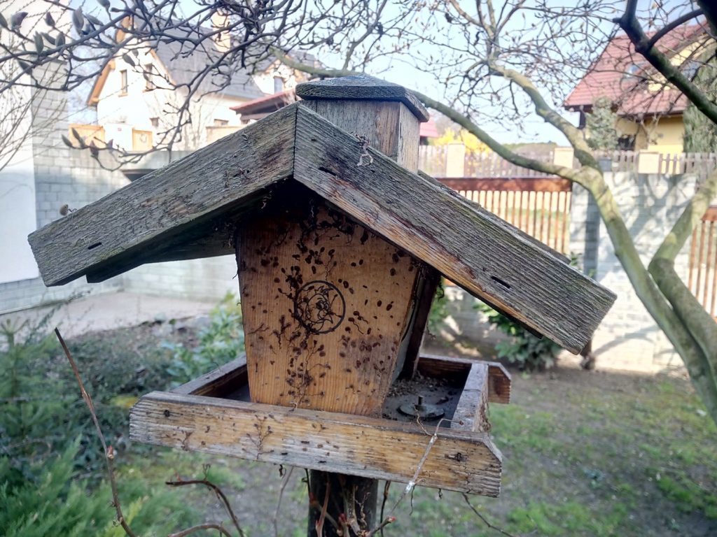 THL 2015 pořízené fotografie 11