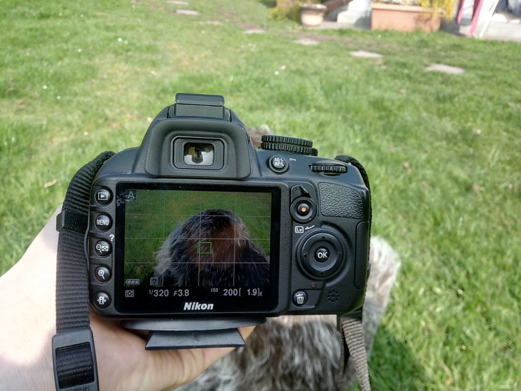 THL 2015 pořízené fotografie 16
