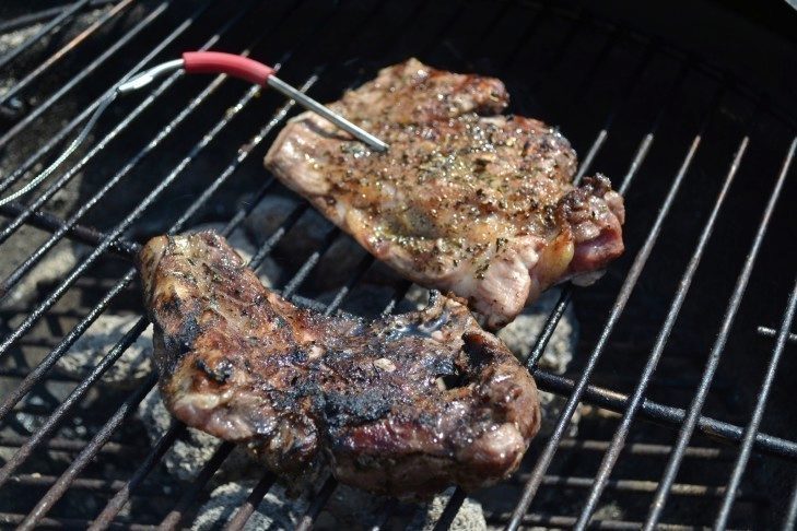 iGrill mini -  maso na grilu