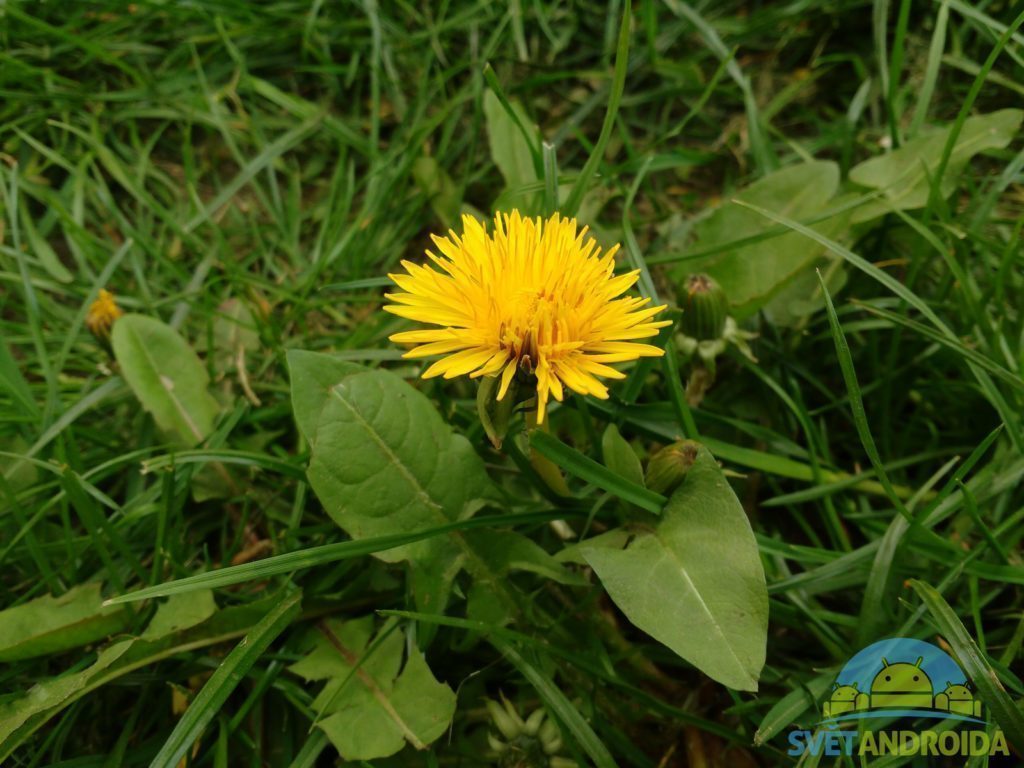 Lenovo Moto G 2015 pořízené fotografie 16