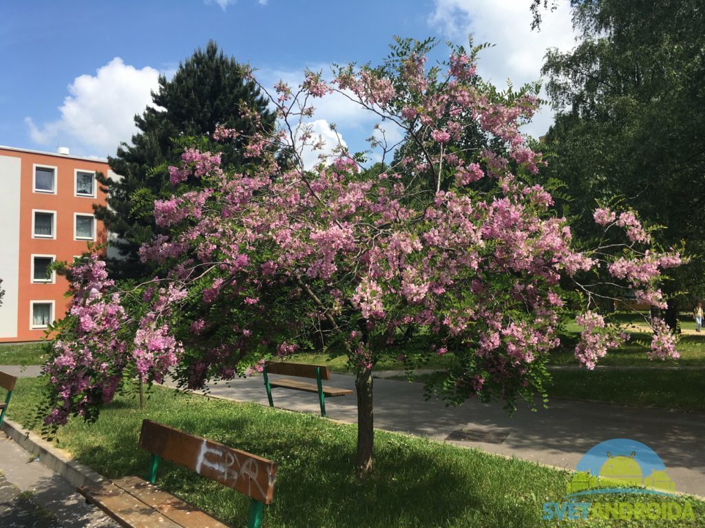 Apple iPhone SE pořízené fotografie dobre svetlo 7