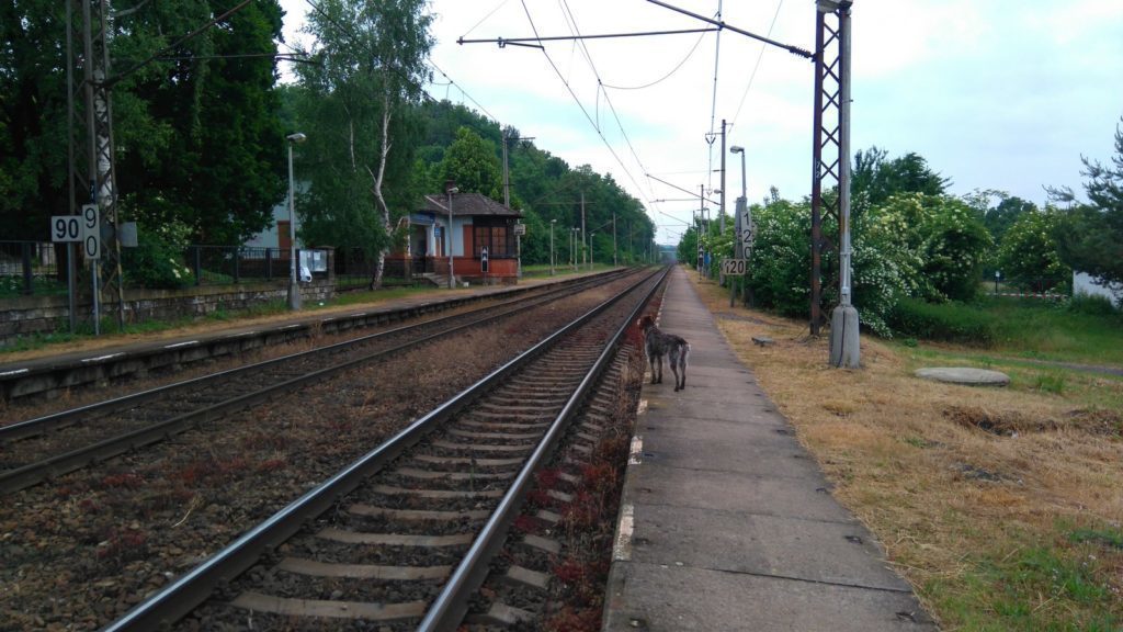 Sony Xperia M4 Aqua pořízené fotografie 12