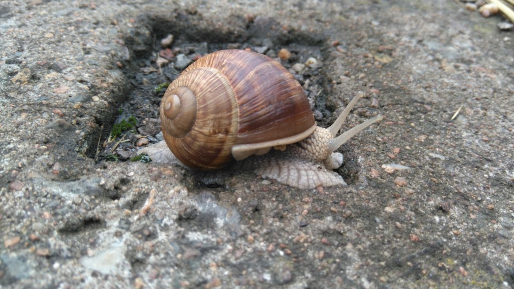 Sony Xperia M4 Aqua pořízené fotografie 13