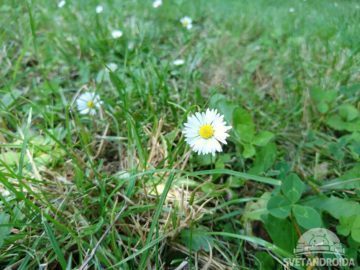 Sony Xperia X foto 7