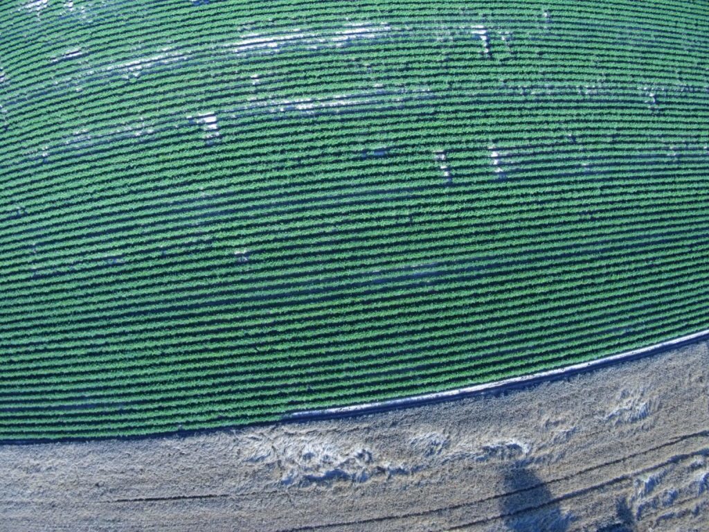 Xiaomi MiDrone ukazka foto 1