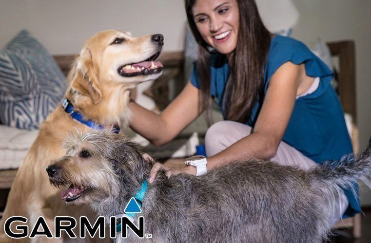garmin delta smart ico
