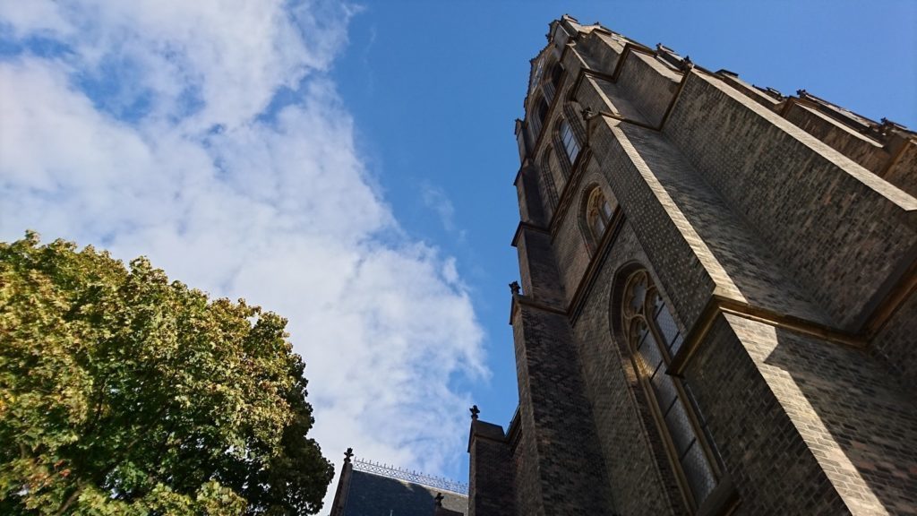 Sony Xperia Z5 pořízené fotografie dobré světlo 7