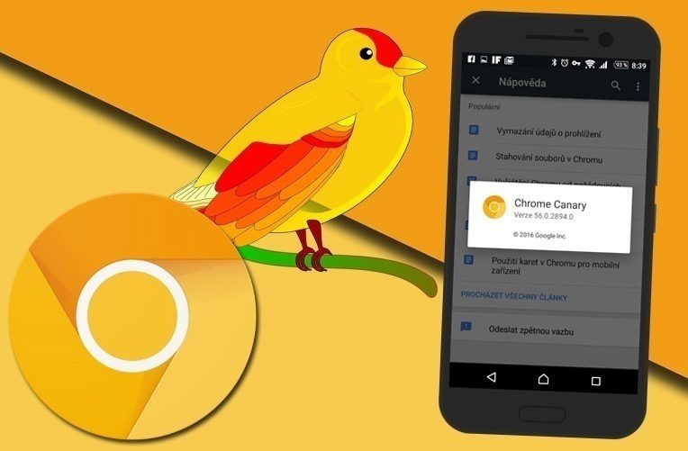 chrome canary ico
