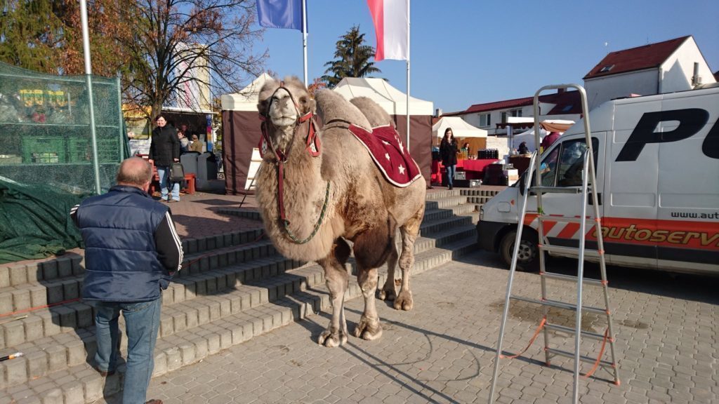 Sony Xperia Z5 Comopact pořízené fotografie dobré podmínky 2