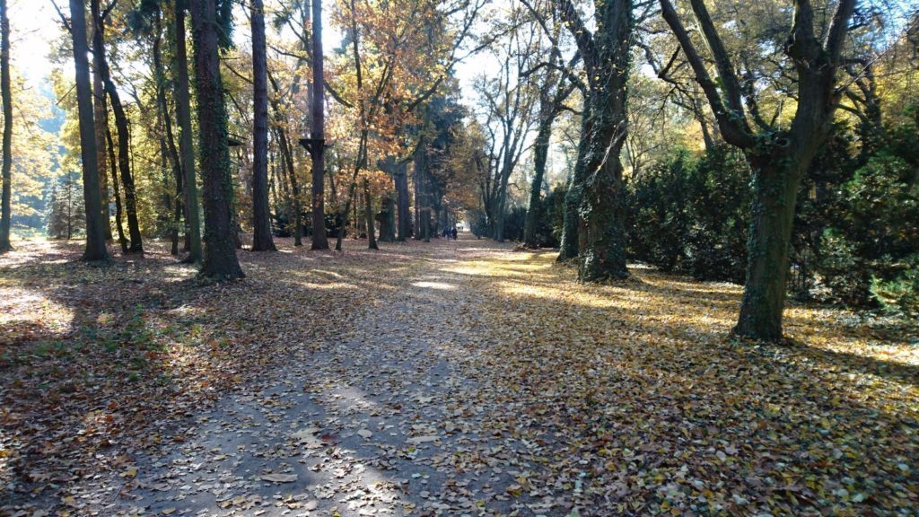 Sony Xperia Z5 Comopact pořízené fotografie dobré podmínky 4