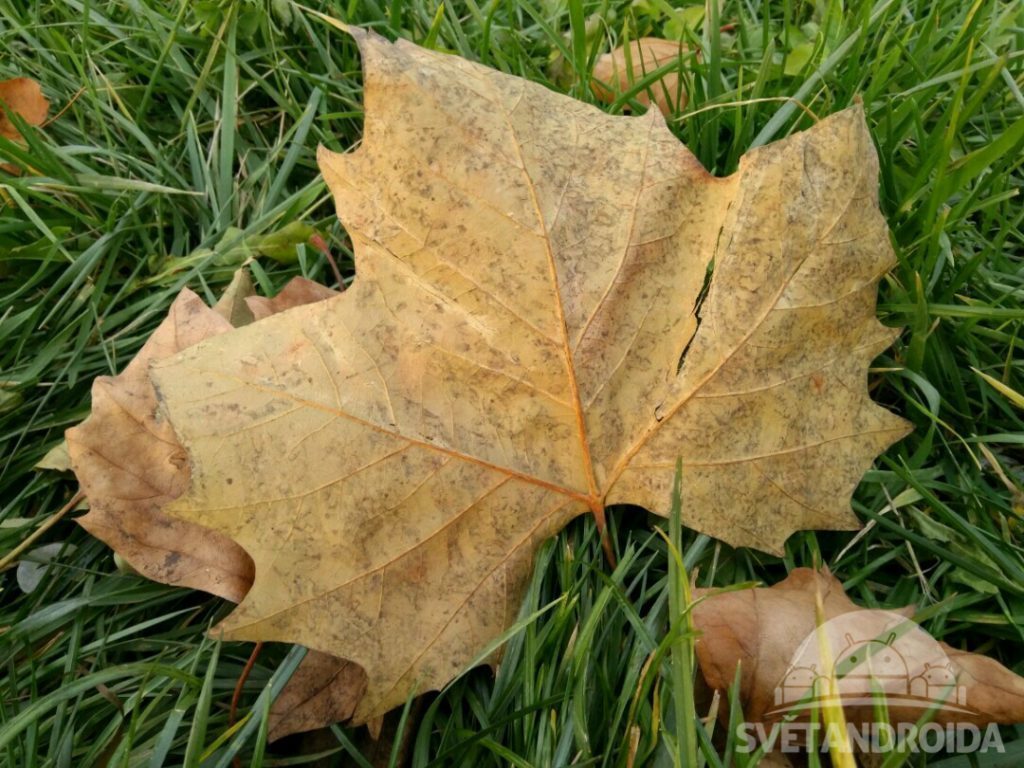 Xiaomi MI MIX fotografie 4