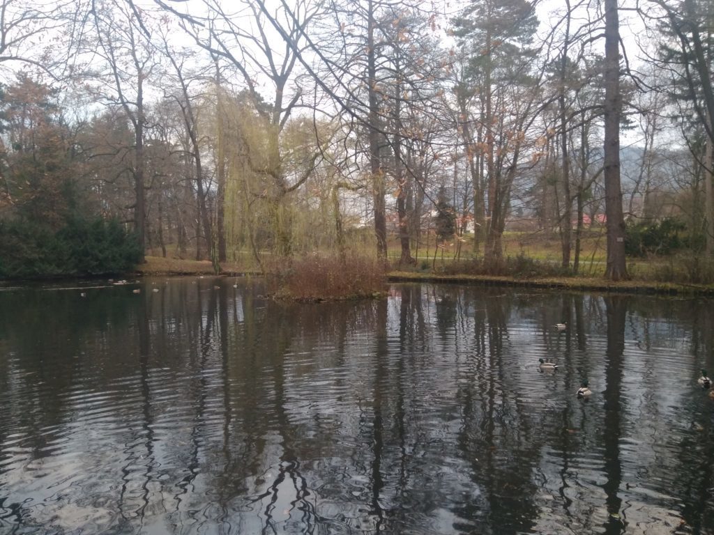 Xiaomi Redmi 4 foto 9