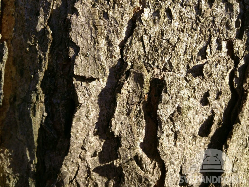 Xiaomi Redmi 4A fotografie 10