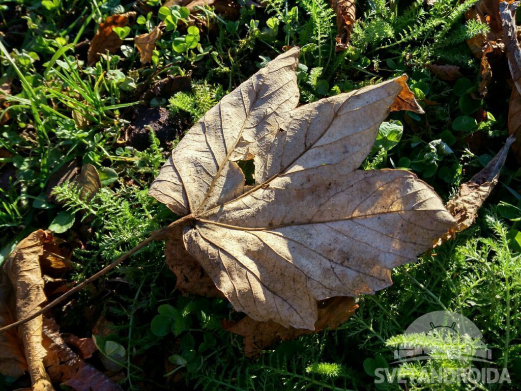 Xiaomi Redmi 4A fotografie 11