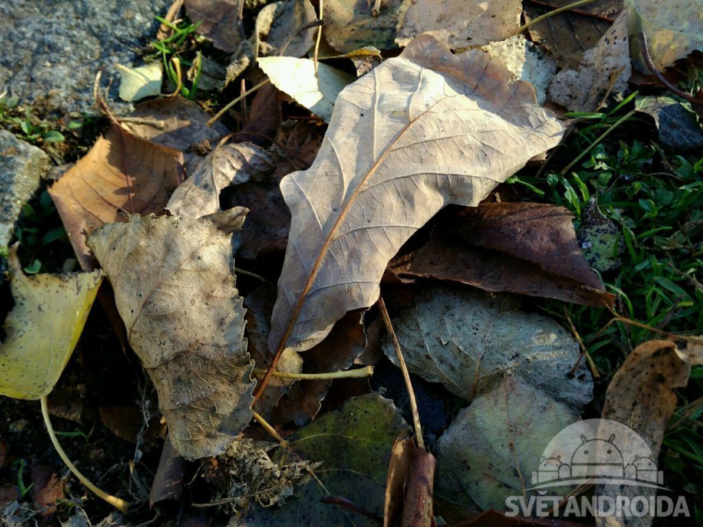 Xiaomi Redmi 4A fotografie 15