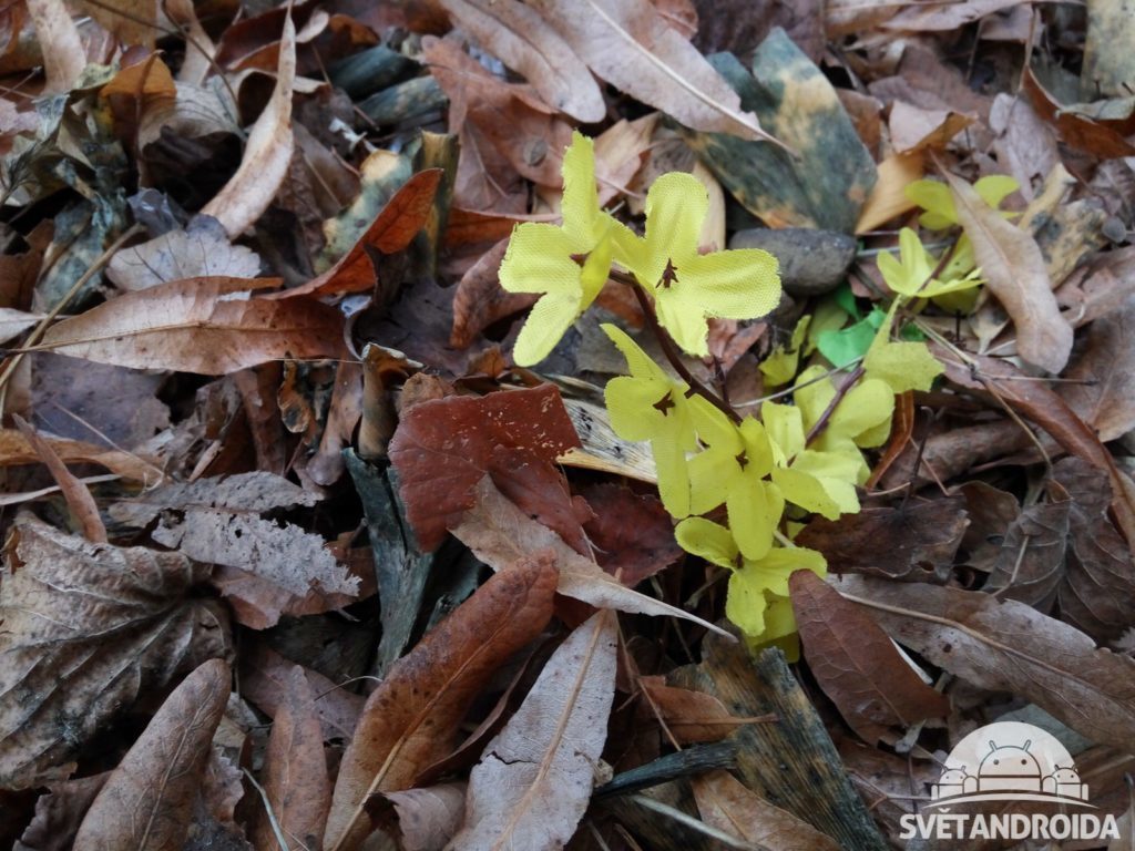 Xiaomi Redmi Note 3 fotografie dobrého světla 2