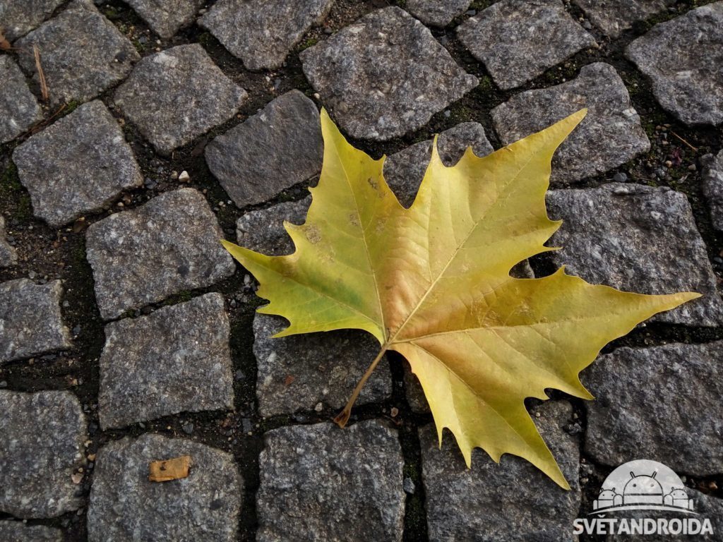 Xiaomi Redmi Note 3 fotografie dobrého světla 9