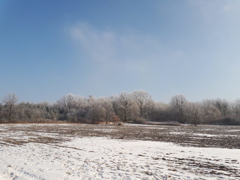 Galaxy A5 2017 fotografie 5