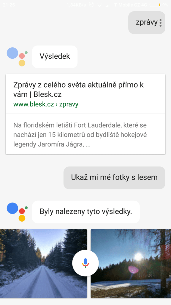 Google Assistant CZ 1 4