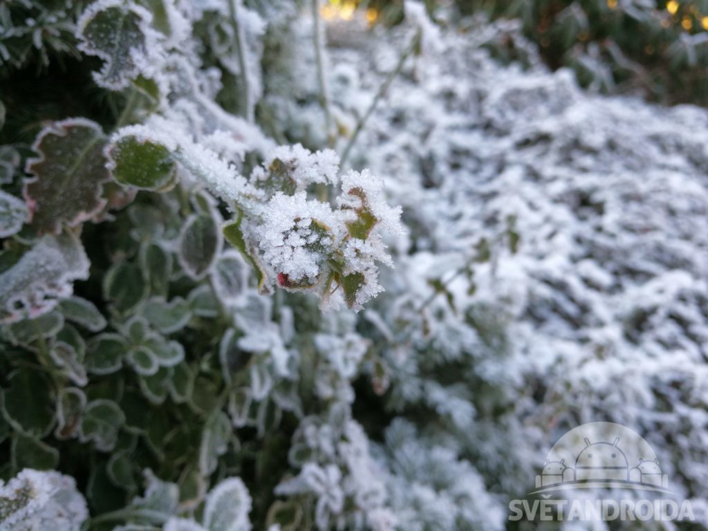 Huawei Mate 9 porizene fotografie 6