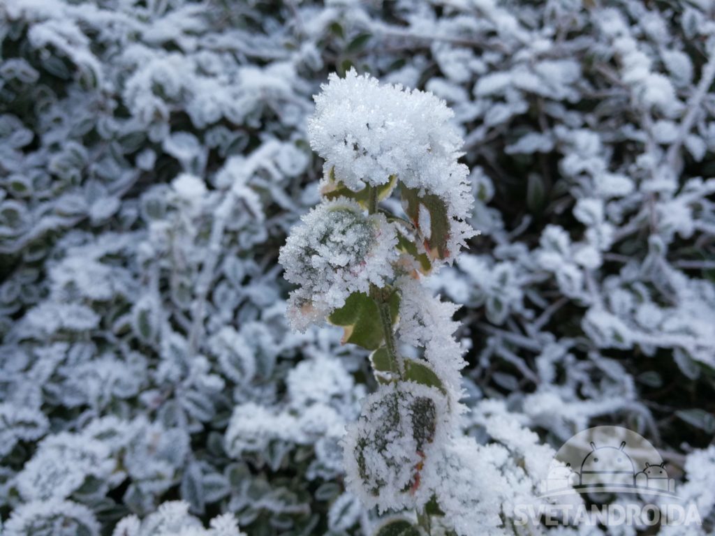 Huawei Mate 9 porizene fotografie 7