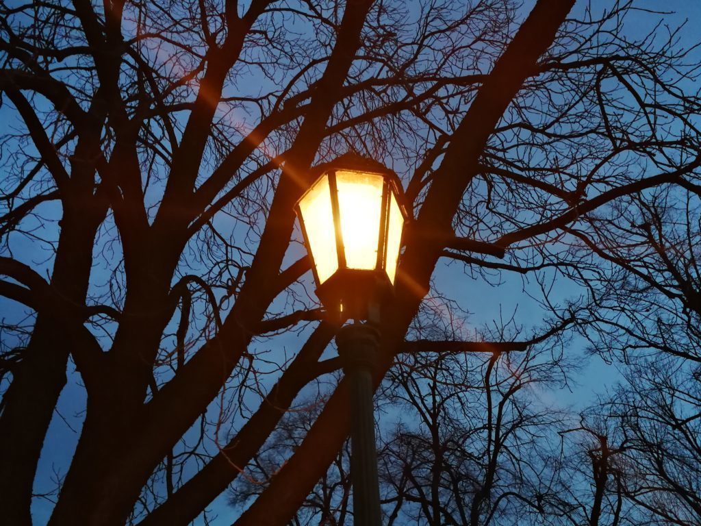 Huawei P10 fotografie 15