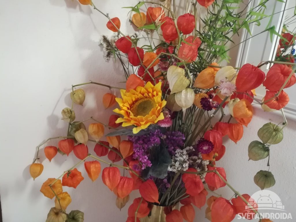 IMG 20170326 084202