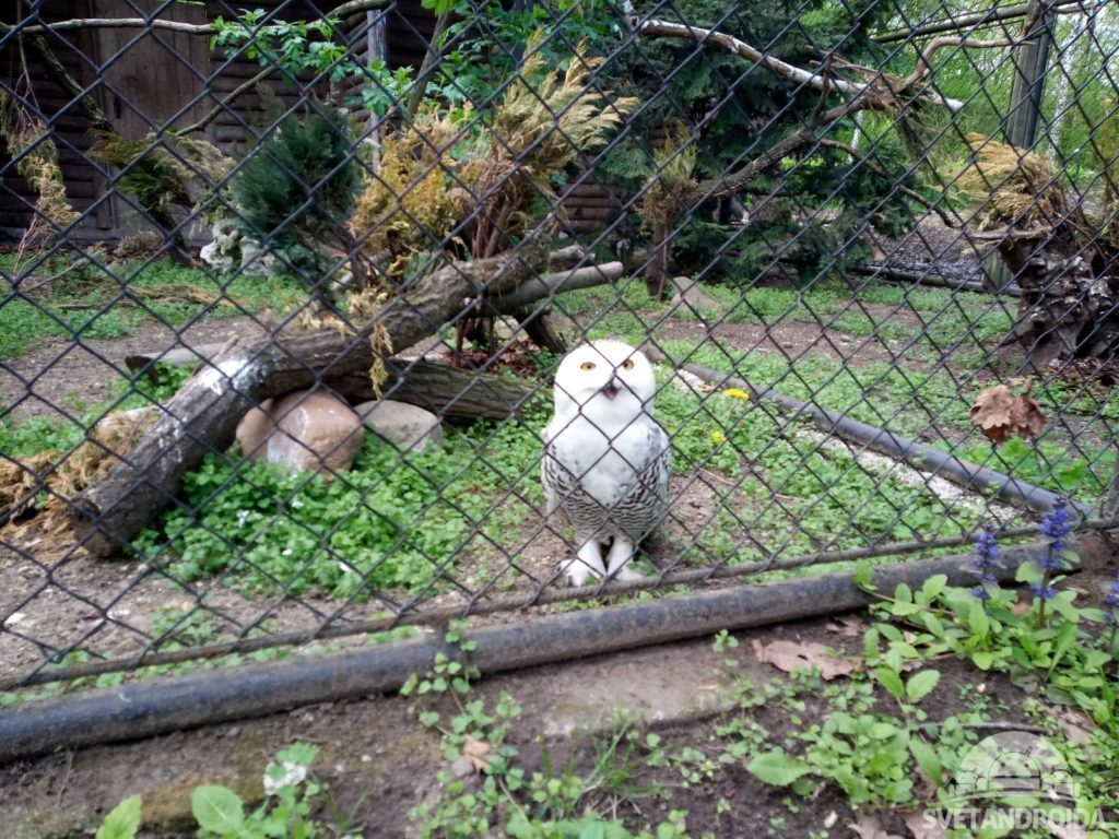 Lenovo Moto M foto 11